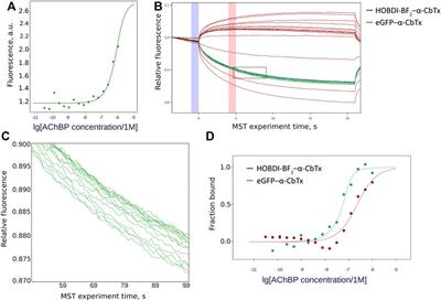 Snake Toxins Labeled by Green Fluorescent Protein or Its Synthetic Chromophore are New Probes for Nicotinic acetylcholine Receptors